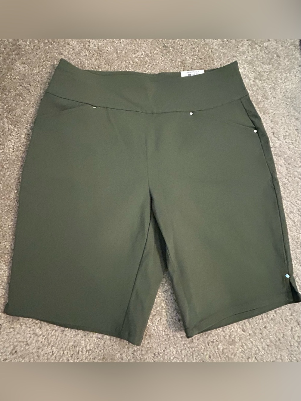 NWT INC International Concepts Green Pull-On Bermuda Shorts Size 4